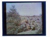 [Durand - Eastman (?) Park]