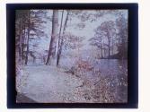 [Durand - Eastman (?) Park]