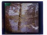 [Durand - Eastman (?) Park]