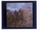 [Durand - Eastman (?) Park]