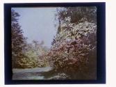 [Durand - Eastman (?) Park]