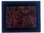 Agfa