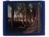 (illeg.) Holland