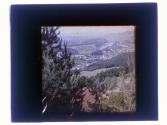 Swiss Zug from Luzern