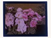 [Flowers]
