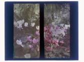 [Flowers in conservatory]