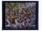 [Flowers in conservatory]