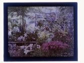 [Flowers in conservatory]