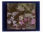 [Flowers in conservatory]