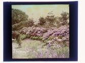 [Garden view]