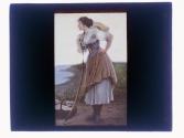 [Art repro.]