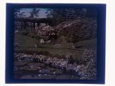 [Bausch - Rock Garden view]