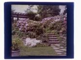 [Bausch - Rock Garden view]