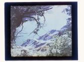 [Genesee River view, looking down]