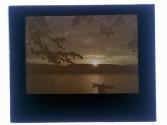 At Stewart Conesus Lake
