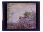 [Landscape]