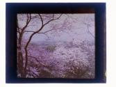 [Highland (?) Park view]