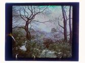 [Highland (?) Park view]