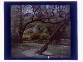 [Highland (?) Park view]