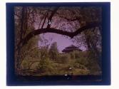 [Highland (?) Park view]