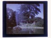 Browncroft Summer