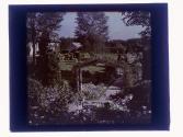 [House and garden]