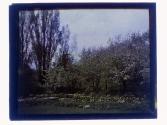 [Garden view]