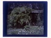 [Garden view]