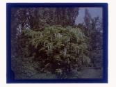 [Garden view]