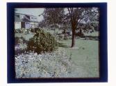 [House and garden]