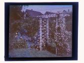 [Garden view]