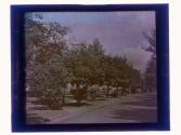 [Row of houses- Aldine Street(?)]