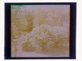 [Row of houses- Aldine Street(?)]