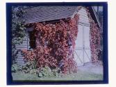 [View of garage and flowers]