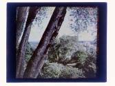 [Landscape]
