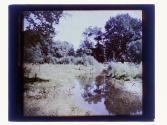 Allens Creek