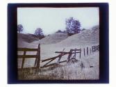 Near Allen's Creek