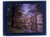 [View of creek]