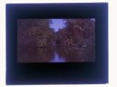 [View of creek]