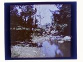 Allens Creek