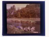 Ellison Park 42