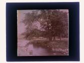 [View of creek]