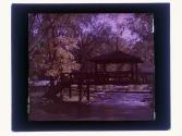 [View of creek]