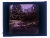 [View of creek]