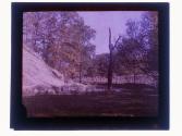 [View of creek]
