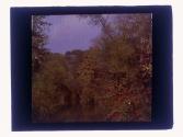 [View of creek]