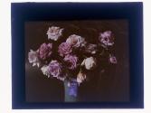 [Prize floral arrangements]
