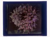 [Prize floral arrangements]