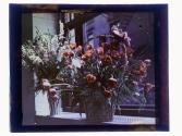 [Floral arrangements]