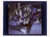 [Floral arrangements]